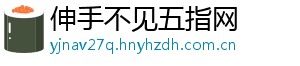 伸手不见五指网